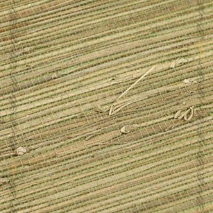 کاغذ دیواری‌های گیاهی: آنچه باید در مورد این کاغذ دیواری طبیعی زیبا بدانید